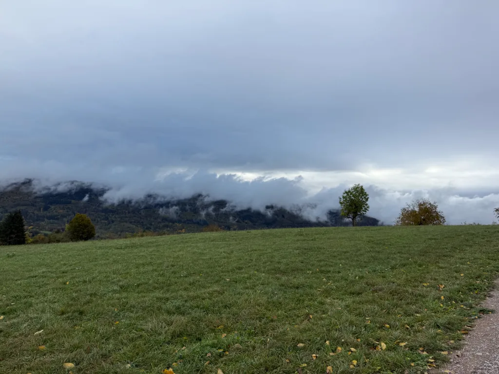 Grüne Bergwiese mit einzelnen Bäumen, dahinter tief hängende Wolken über bewaldeten Hügeln unter grauem Himmel