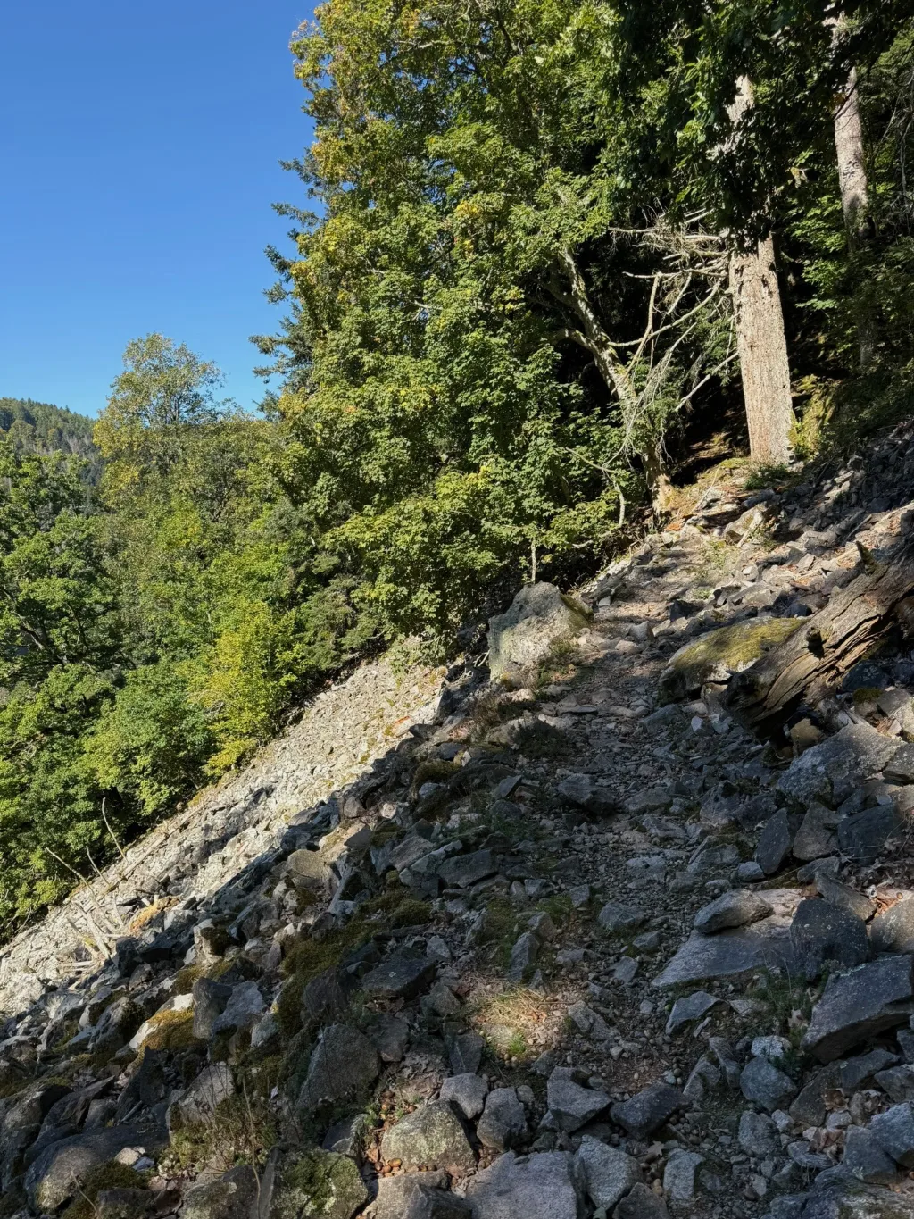 Steiniger Wanderpfad führt über ein Blockfeld an einem bewaldeten Berghang bergauf, darüber blauer Himmel.