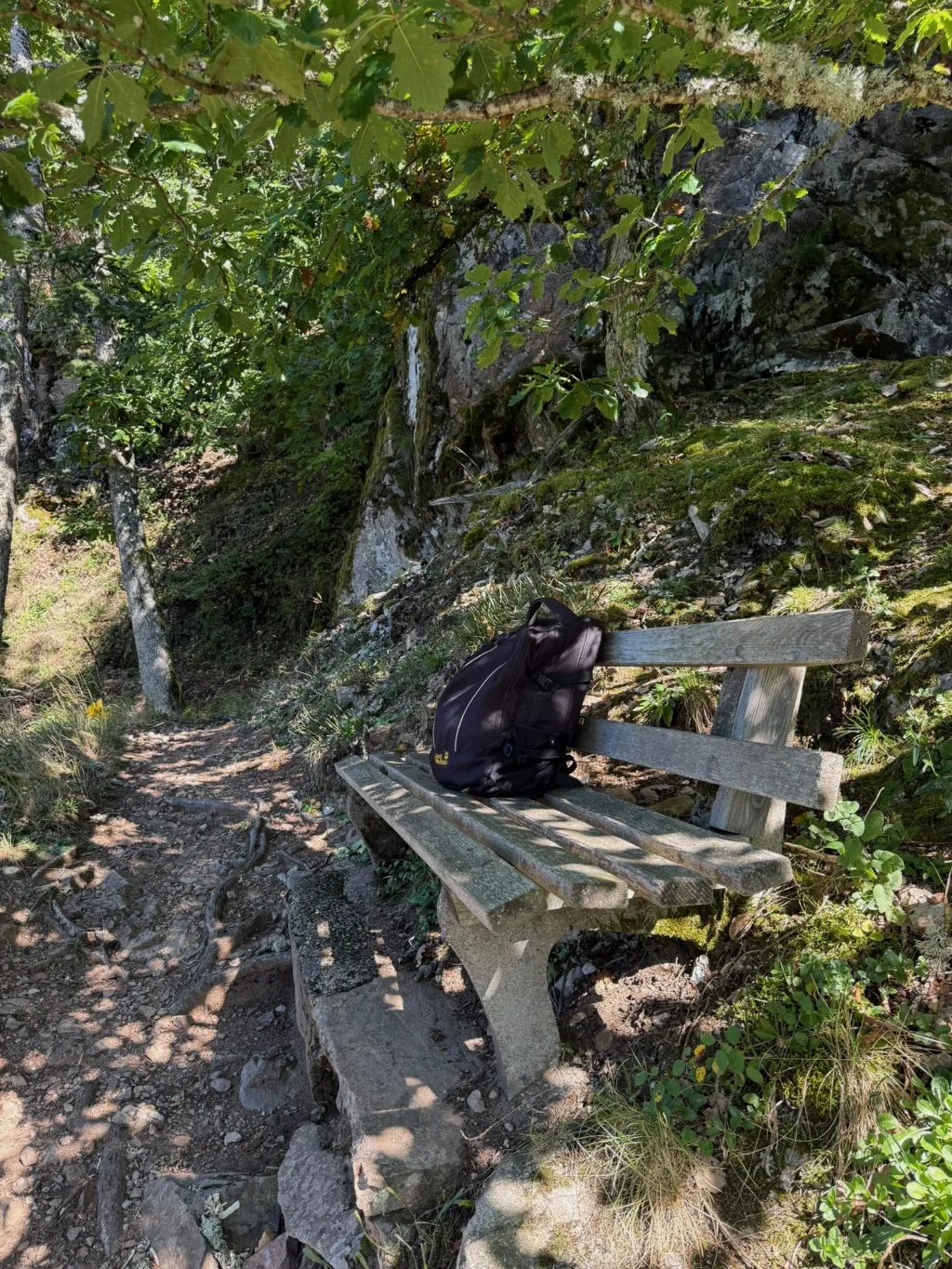 Schwarzer Rucksack auf einer verwitterten Holzbank an einem schattigen Wanderweg vor bemoosten Felsen.
