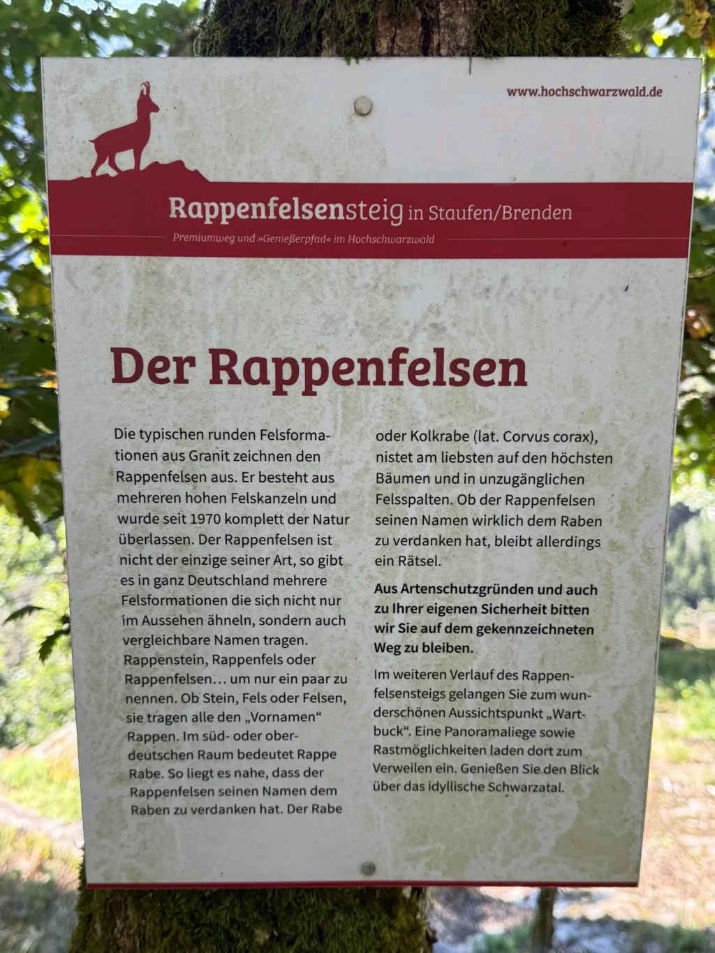 Informationstafel am Baum mit der Überschrift „Der Rappenfelsen“ zum Rappenfelsensteig in Staufen/Brenden.