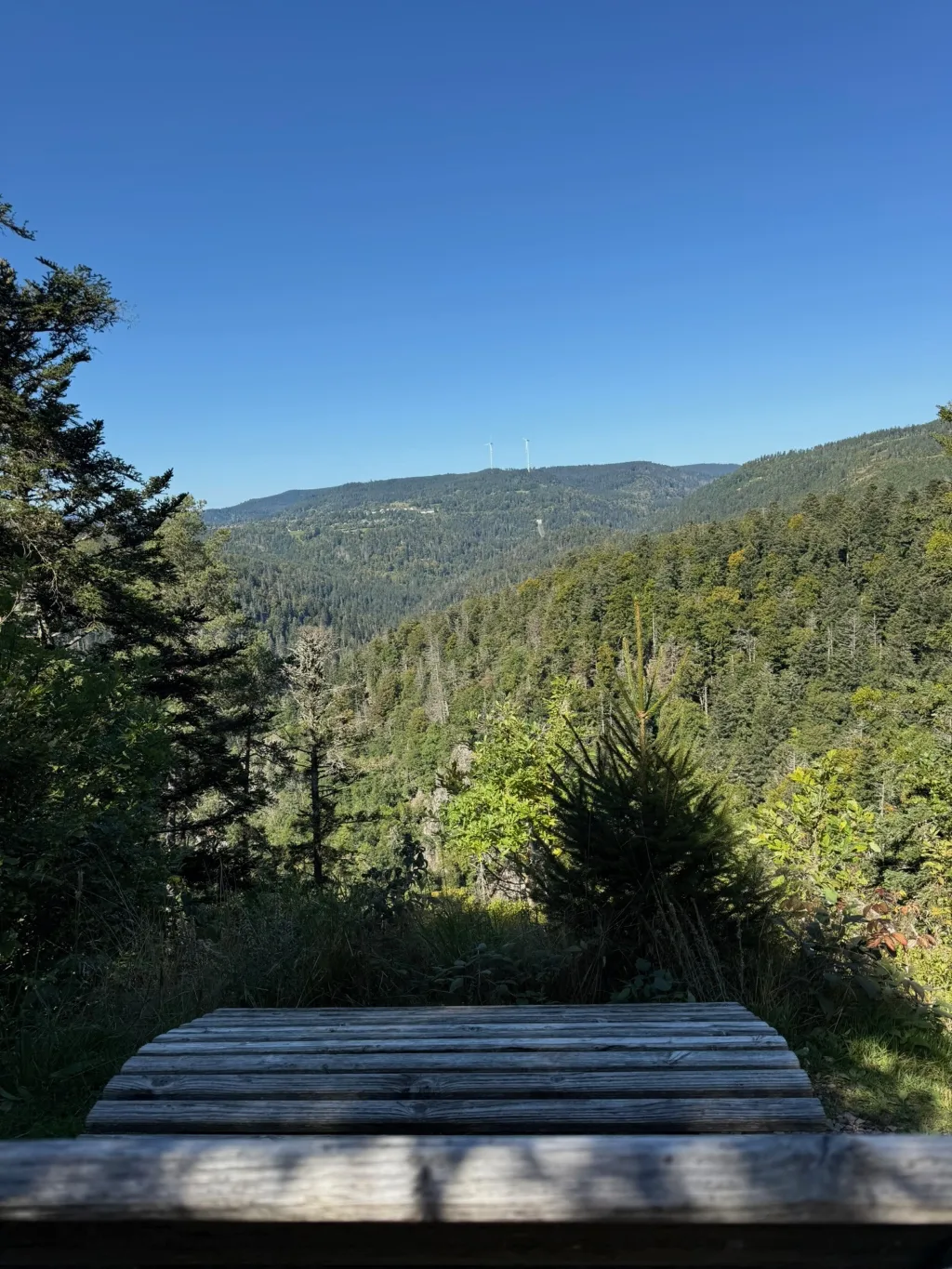 Blick von einem Holztisch über bewaldete Bergkuppen mit zwei Windrädern am Horizont unter blauem Himmel.