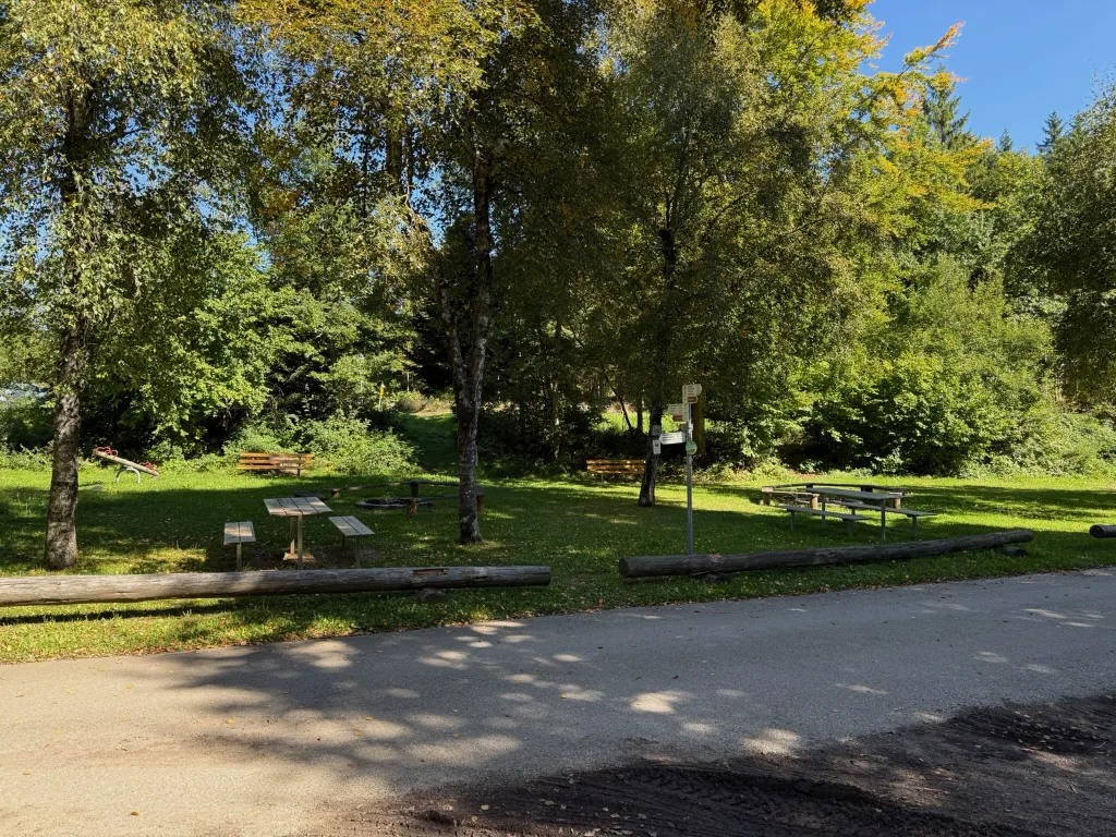 Grillplatz mit Picknicktischen, Bänken und Feuerstelle auf einer Wiese am Waldrand, davor eine asphaltierte Straße.