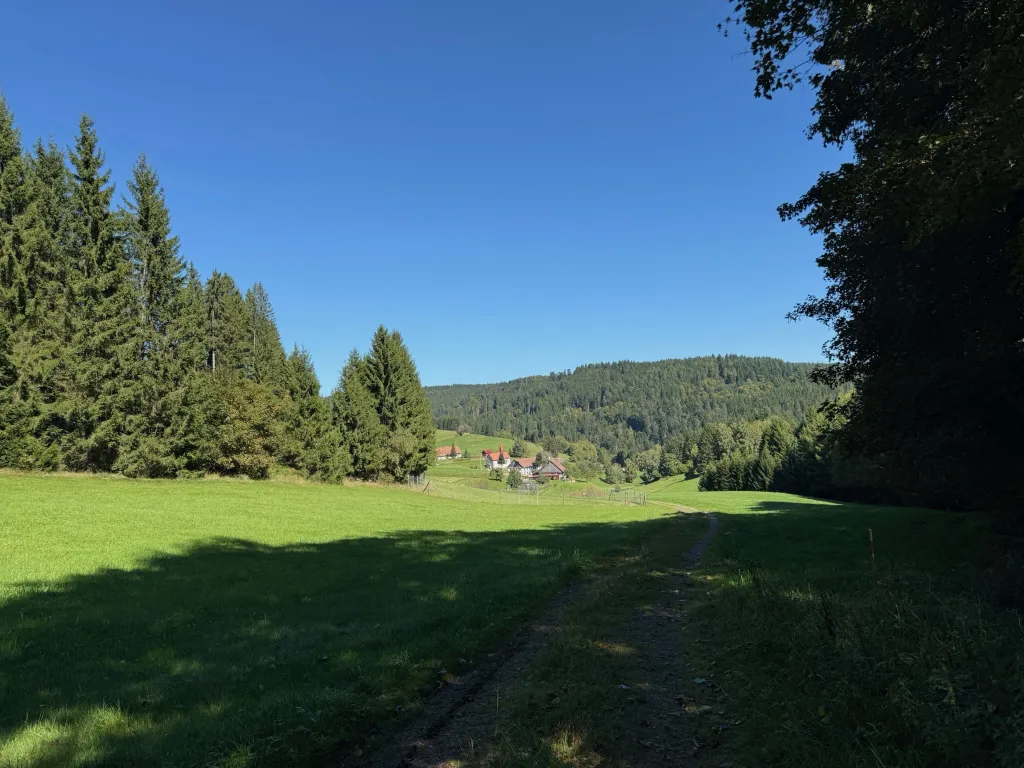 Feldweg führt über eine grüne Wiese zu einem Gehöft am Waldrand, dahinter bewaldete Hügel und blauer Himmel.