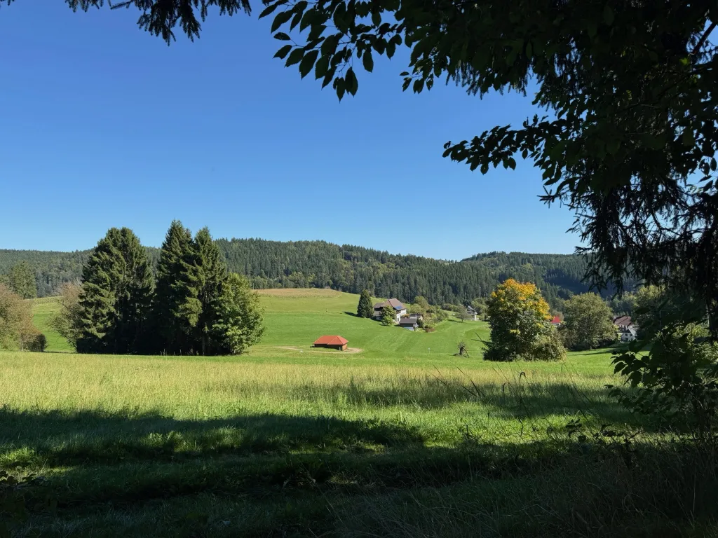 Blick über grüne Wiesen auf eine Hütte mit rotem Dach, Höfe und bewaldete Hügel unter blauem Himmel.