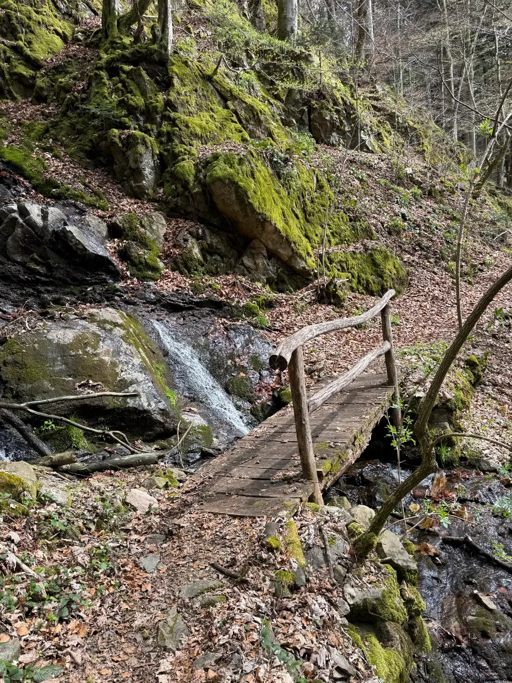 wanderung_felsenhuette_13