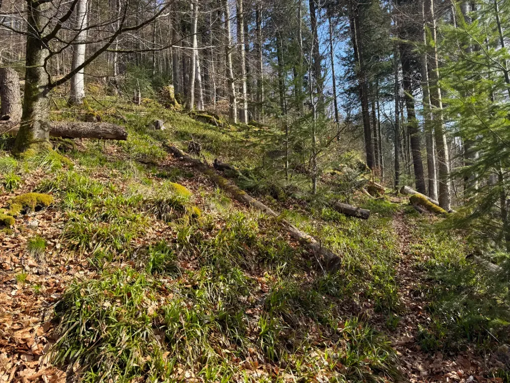 wanderung_felsenhuette_19