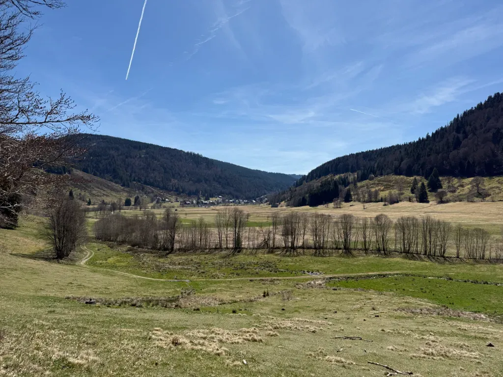 geissen16