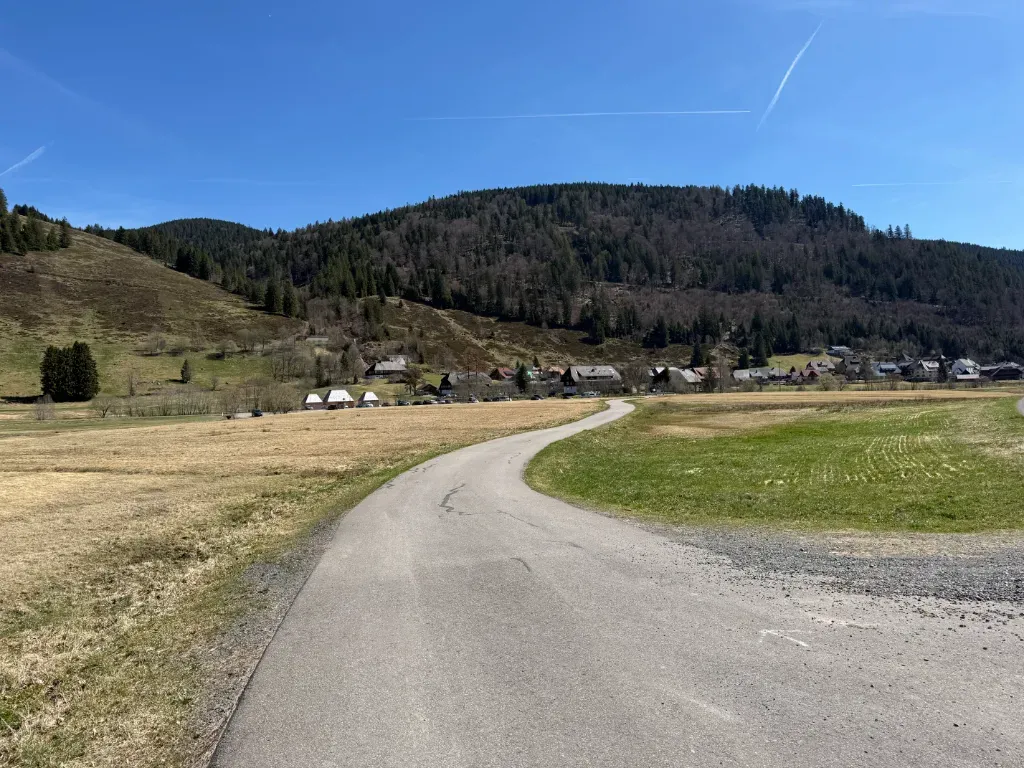 geissen17