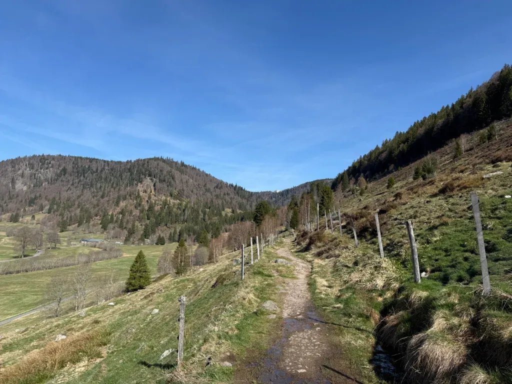 geissen5