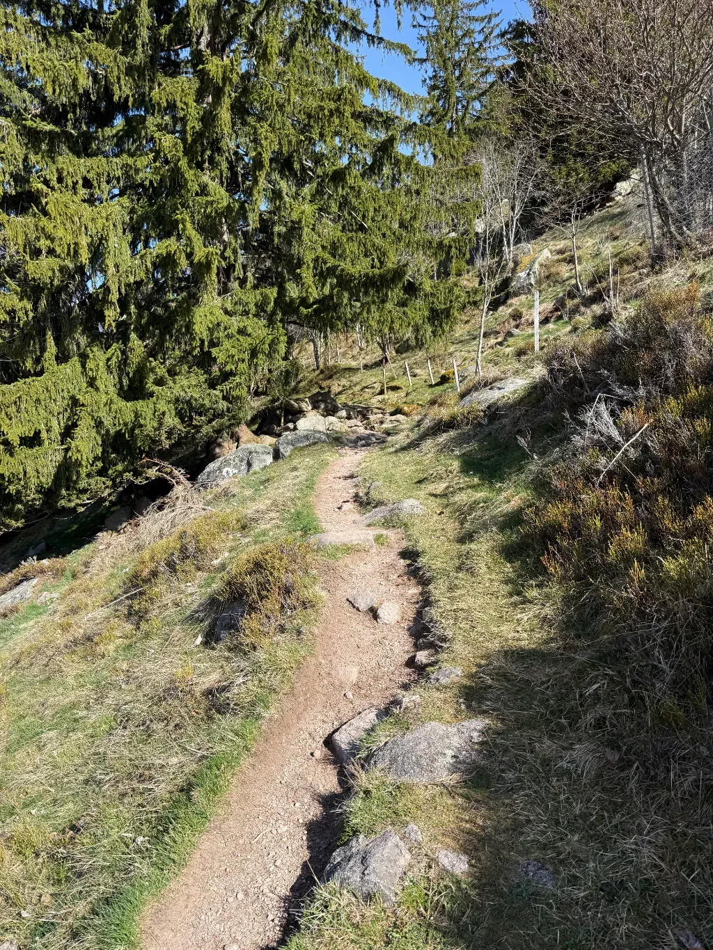 geissen6