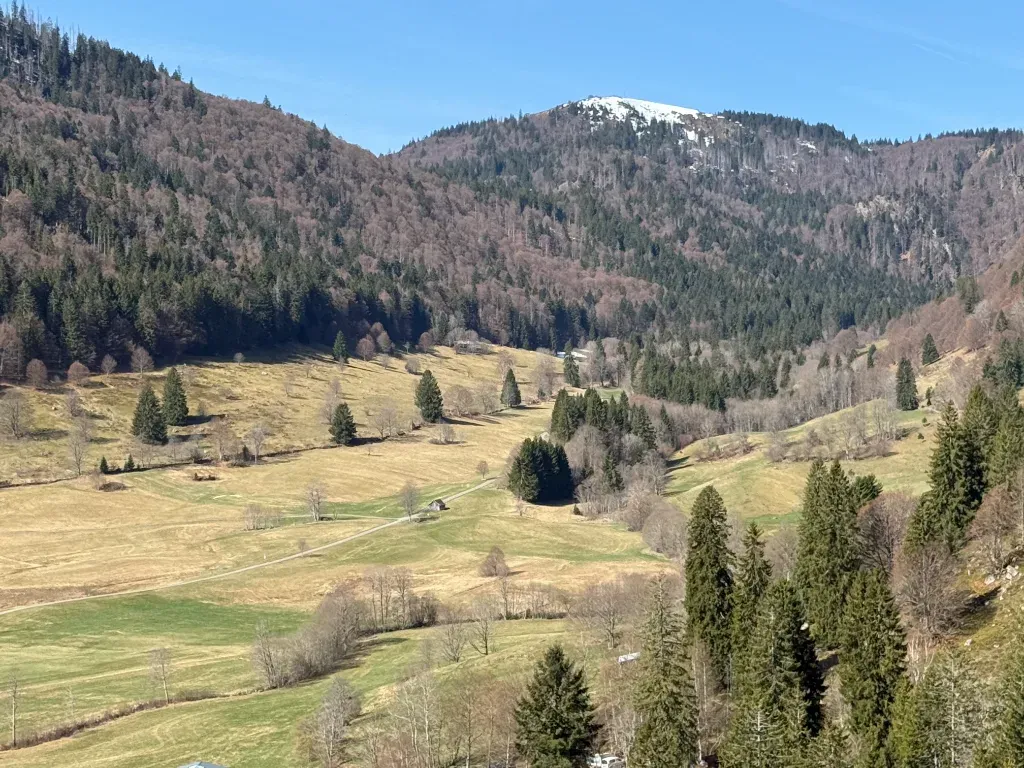 geissen7