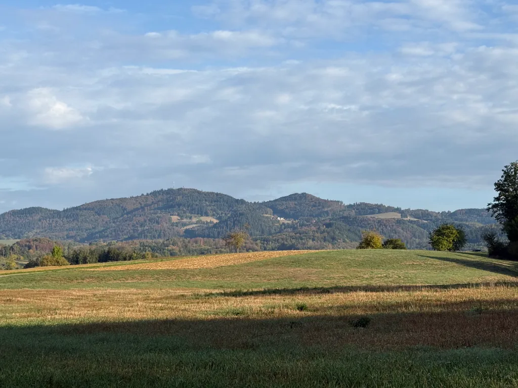 Einsame landwirtschaftliche Fläche mit grunen Ackerland im Vordergrund und bewaldeten Huigeln im Hintergrund unter bewolktem Himmel.