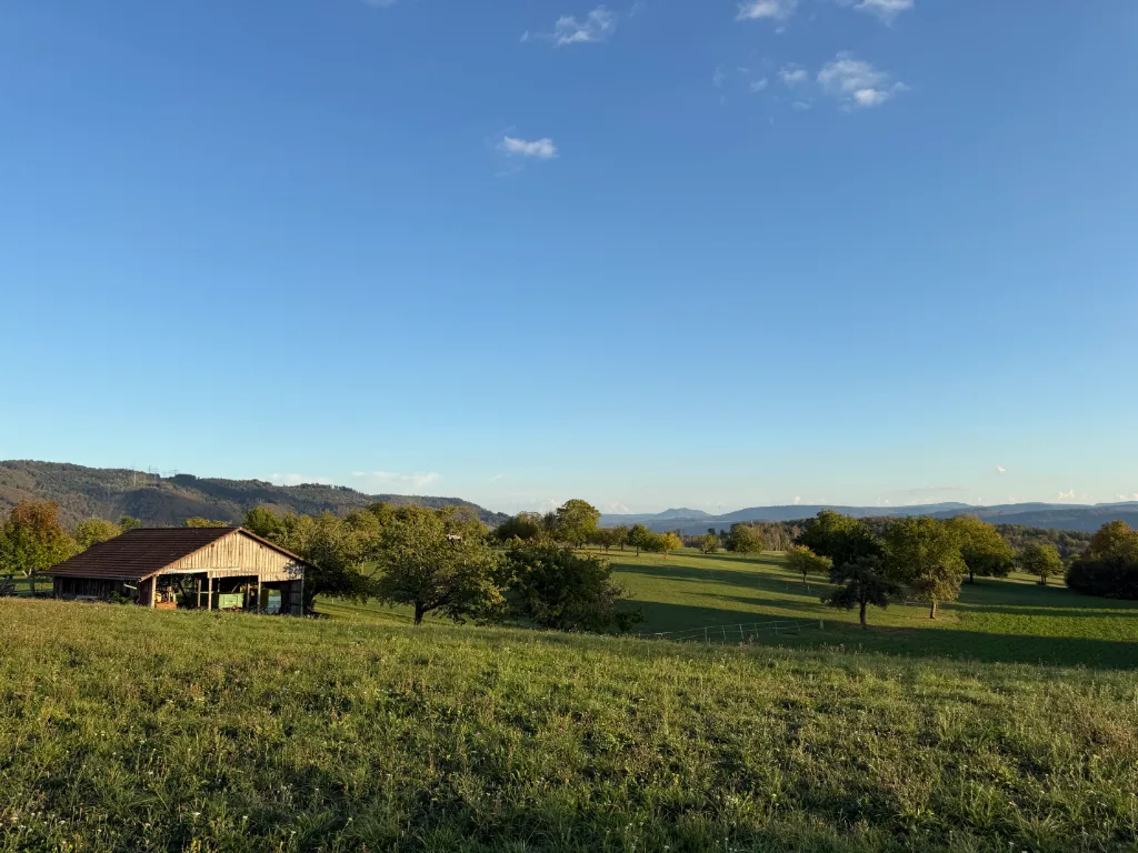 Panorama einer grünen Wiese mit Baumgruppen und einer Scheune bei klarem blauem Himmel, im Hintergrund sind bewaldete Hügel zu sehen.