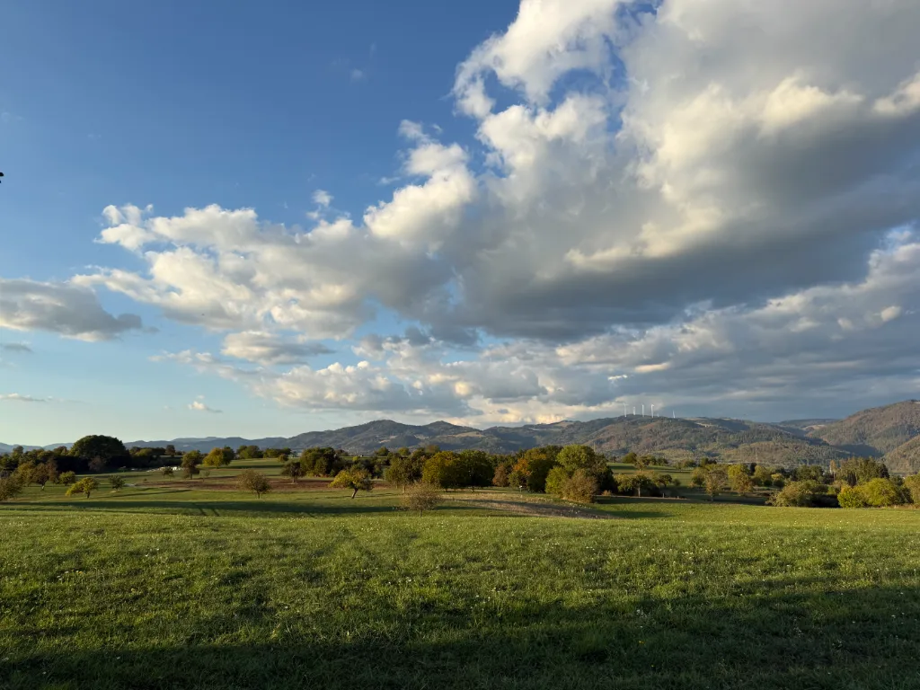 Landschaftsaufnahme einer grünen Weide mit Windruder im Hintergrund der Hügel und bewölktem blauen Himmel.