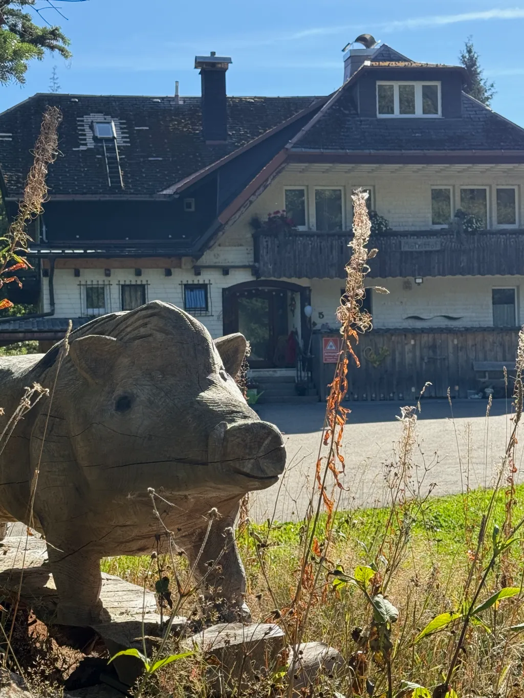 Holzgeschnitzte Wildschwein-Skulptur im hohen Gras vor dem weiß-braunen Gebäude des Yogihofs im Sonnenschein.