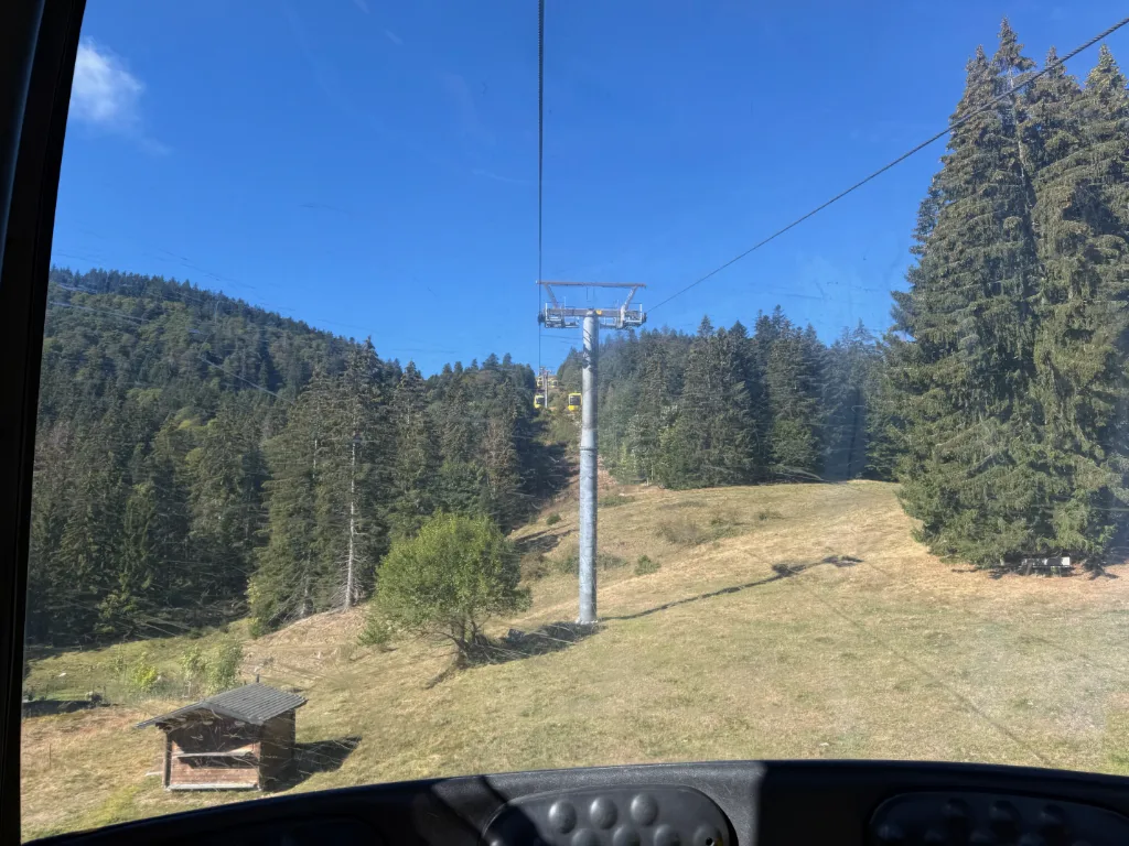 Blick aus einer Seilbahngondel auf einen Stützmast, Wiesenhang und Nadelwald unter blauem Himmel.