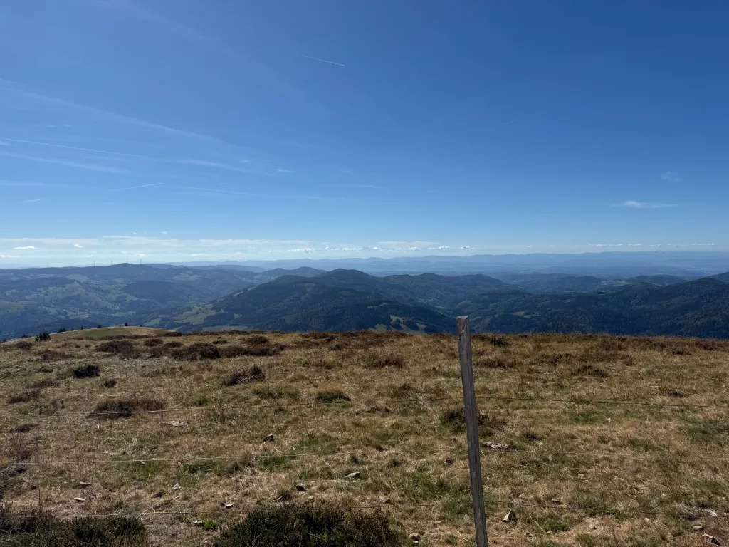 Weite Aussicht vom kahlen Belchen-Gipfel über bewaldete Schwarzwaldberge, im Vordergrund ein Zaunpfahl im trockenen Gras.