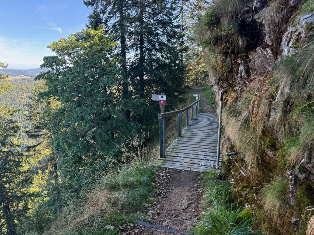 Schmaler Bergpfad mit Holzsteg und Geländer am Felshang, daneben Nadelbäume und Blick ins bewaldete Tal.
