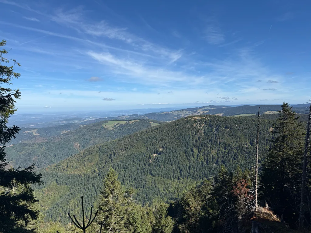 Weiter Blick vom Belchen-Gipfel über bewaldete Schwarzwaldhöhen unter blauem Himmel mit Schleierwolken.
