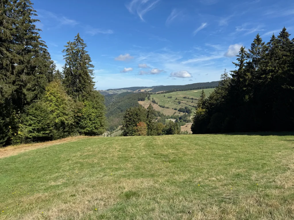 Blick über eine abschüssige Wiese auf bewaldete Hügel und Weiden des Schwarzwalds unter blauem Himmel.